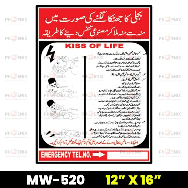 Instructions in Electrical Shock Sign